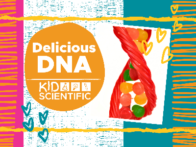  Delicious DNA Workshop (4-9 Years)